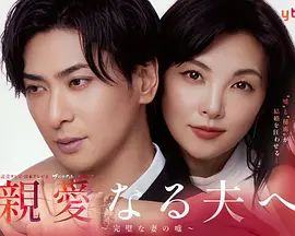 致亲爱的丈夫 完美妻子的谎言电视剧